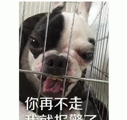 微信牛恶搞斗图表情包金馆长表情包
