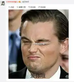 小李子竟然把生日过成了表情包盛会