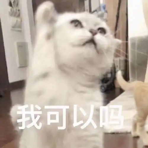 喵星人表情包合集我太难了