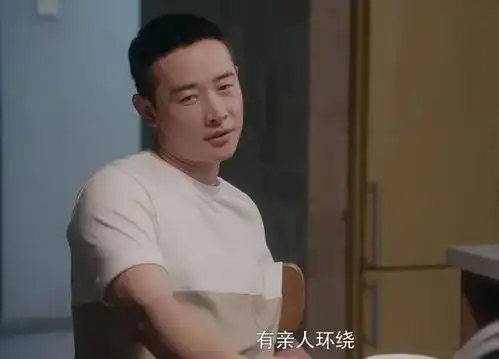 安家最阴险的人物,他买高仿包送给房似锦,最后结局注定悲惨