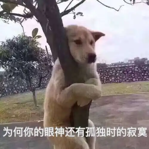 火冥相位是危险相位吗