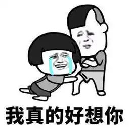 表情包我想喝个烂醉,之后再打个电话给你