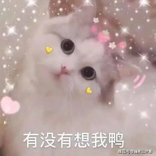 搞笑段子妹子在公交车上睡觉,无奈各种姿势