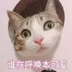 你知道开发商为什么喜欢年底交房吗
