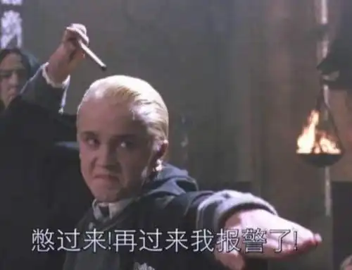 你们要的哈利波特系列表情包来啦