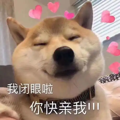 小伙子,阿姨真想狠狠办了你网友深夜哭诉啊啊啊眼神骗不了人