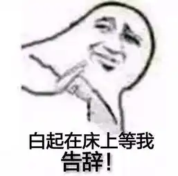 白日梦如果李泽言白起许墨周棋洛约你去海岛旅游