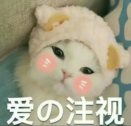黄喵喵表情包