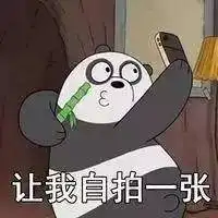 9.5分贱贱熊我一口气刷完这逗比剧,还狂收蠢萌表情包