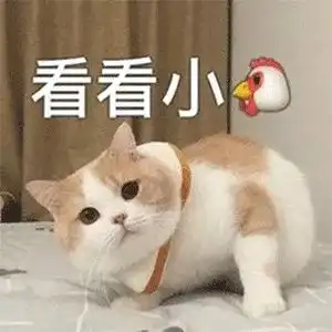 吃饱有力气减肥