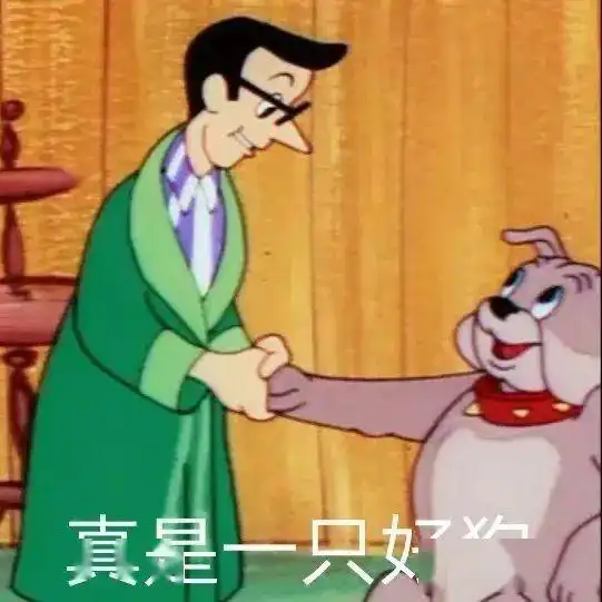 斗图必备的搞怪表情包