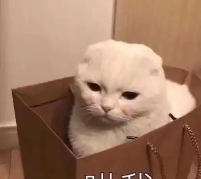 话题表情包,哄生气的闺蜜,搞笑委屈斗图表情不能少