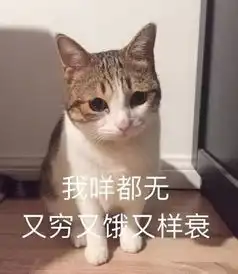 8848新旗舰官宣5g手机也有1亿像素相机