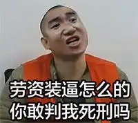 张学友版大力哥表情包装逼很好玩吗