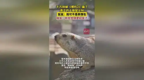 千万别被哪吒2骗了,真正的土拨鼠尖叫来了,网友听完觉得更好笑了