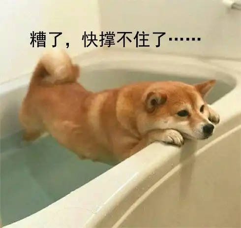 打造私人盆底康复方案,我们是您的好盆友