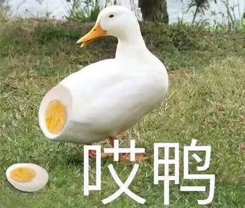 范丞丞你当他知道你怀孕时