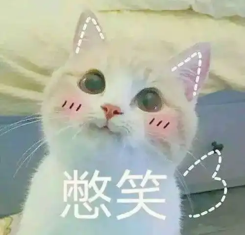 愿鼠不尽的好运,都鼠于你