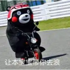 有趣表情包之超萌的熊本熊萌逗起来啦本宝宝就是要抱抱