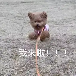 表情包我感到压力很大,委屈巴巴看着你