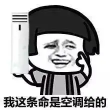 西固出现一个热疯队奔向了这个娱乐界的避暑圣地,能解决问题吗