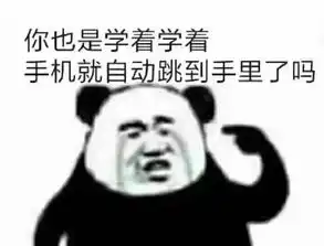 表情包丨我就是你的中介