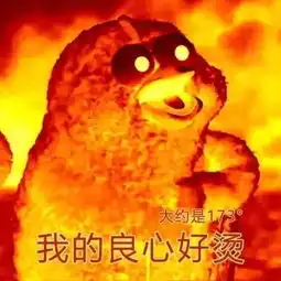 今天全河南都要下雨连发49条天气预警有地方还下冰雹了