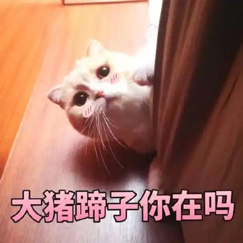 爆笑gif爬个梯子这么费劲呢我来帮你