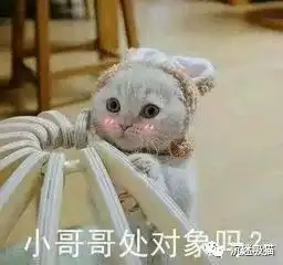 超多猫咪可爱表情包吸猫患者福音来斗图啊,信不信我萌死你