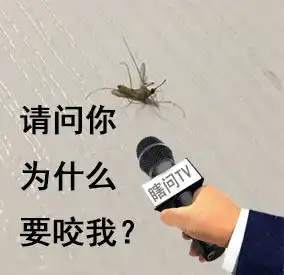 测试一个超长简介的文章