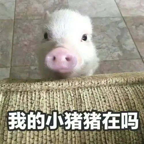 一条可爱搞怪搞笑的表情包