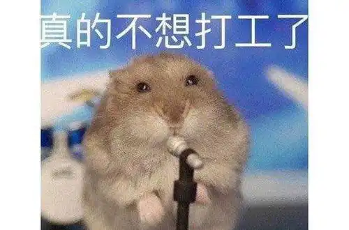打工仔的表情包我的爱豆都在努力搬砖,我还有什么理由偷懒呢