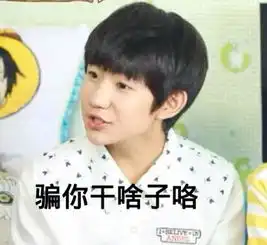 tfb浅散王源表情包百田tfboys圈