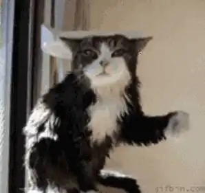 最搞笑gif猫咪动图火爆网络,快来收集一波表情包