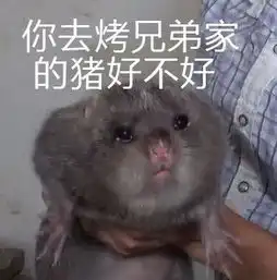 每日表情包竹鼠与华农兄弟表情包
