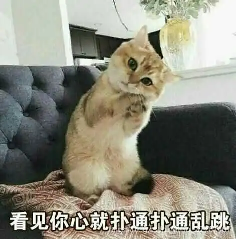 我的大学
