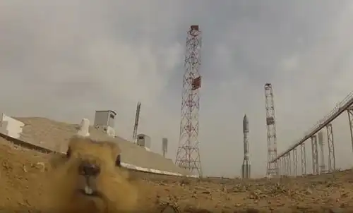 土拨鼠打洞打到了火箭发射基地,一露头我擦,这是哪