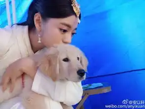 安以轩抱狗自拍表情神同步大眼清纯可爱
