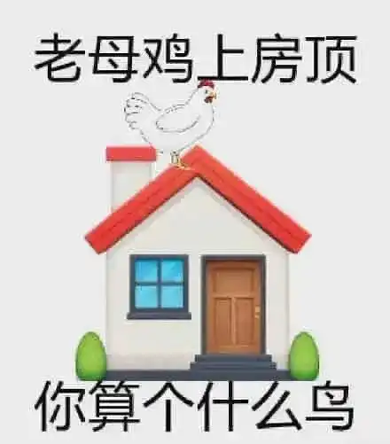 搞笑的歇后语表情包