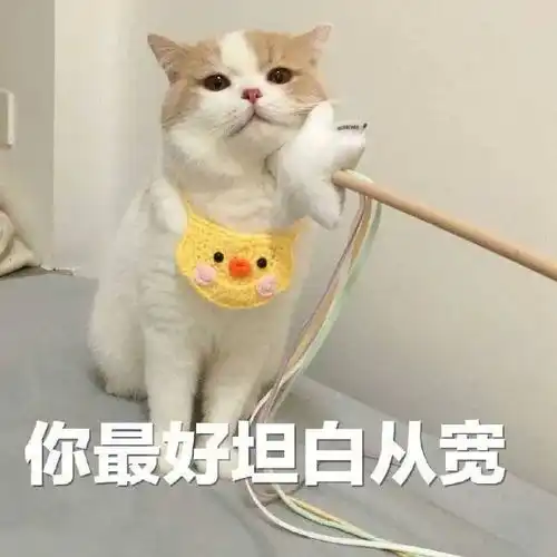 表情包一脸懵逼