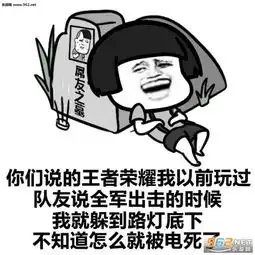你我互道晚安却在王者峡谷相遇表情包图片大全如果王者荣耀能杀队友就好了表情包图片下载乐游网游戏下载