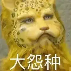 金钱豹表情包合集