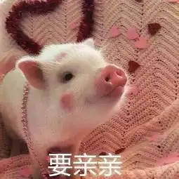 表情包你是不是外面有别的猪了搜狐搞笑搜狐网