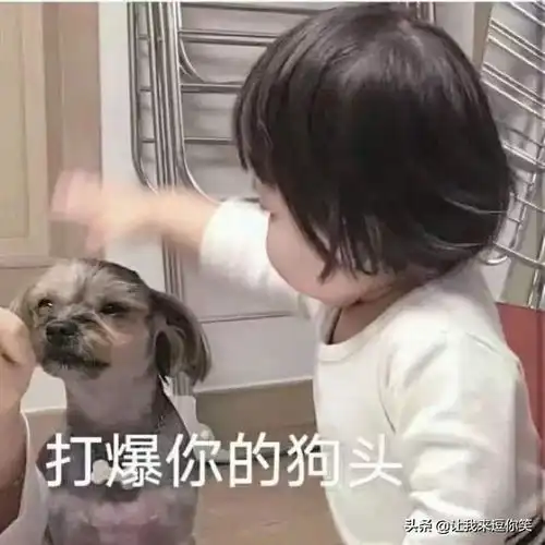 每日一笑印度人不管吃什么都用手抓,只有一个除外
