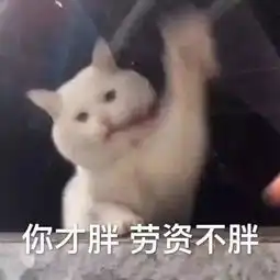 有沙雕表情包,吵架我从来没输过
