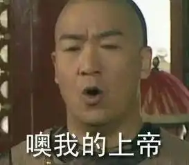 风萧萧兮易水寒壮士一去兮冻死在外面