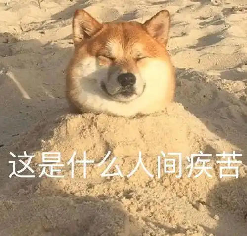 测试一个超长简介的文章