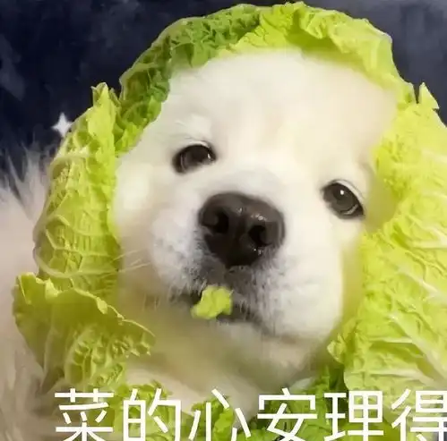 最会搞副业的几大星座,玩着玩着就发财了