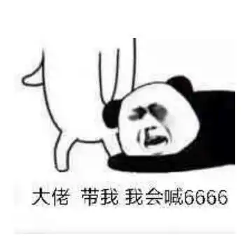 来自摄影君的愚人节搞笑放送摄影爱好者专属表情包