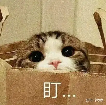 大学生整容普遍吗